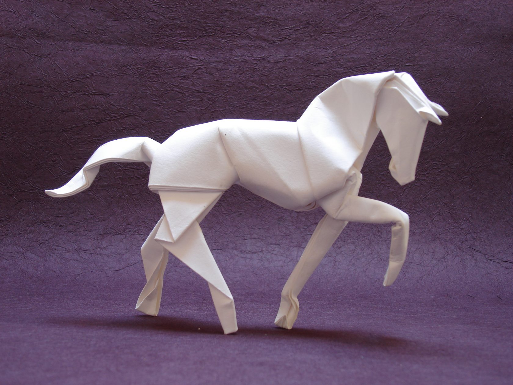 Amazing paper works