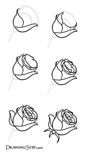How To Draw A Realistic Rose