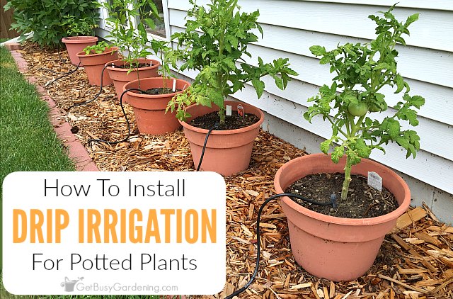Installing A DIY Irrigation System To Your Flower Pots