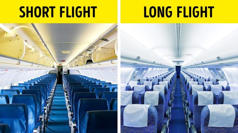 See Why the Airplane Seat Colors Are Almost Always Blue