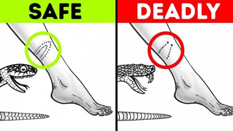 Survival Hacks That Will Get Very Handy in Need