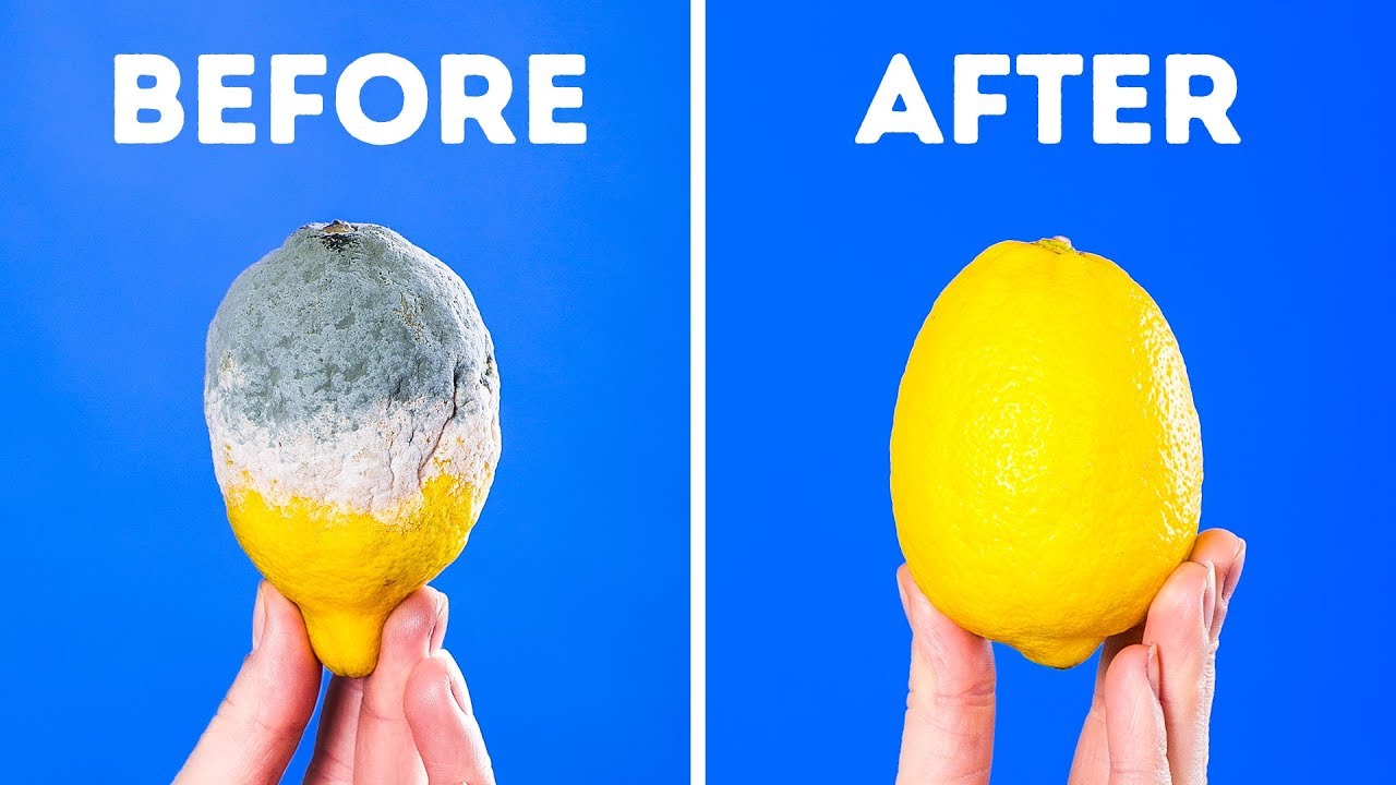 Incredible Ways to Save Your Food on the Fridge