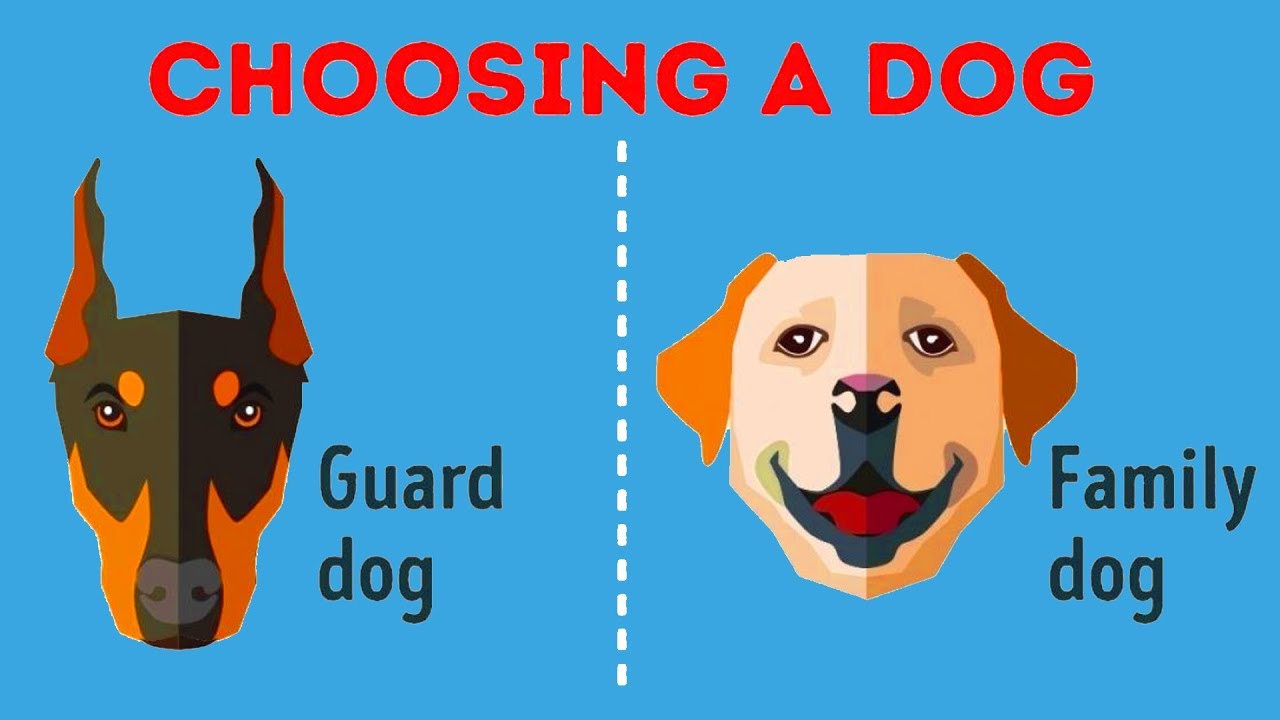 Amazing Facts About Choosing the Right Pet for Yourself