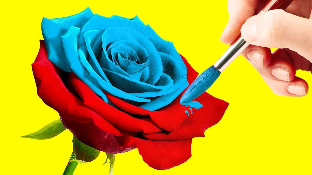 Astonishing Flower DIY Ideas That Are Extremely Easy