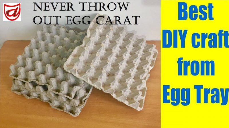 What Can You Make With Egg Trays At Home