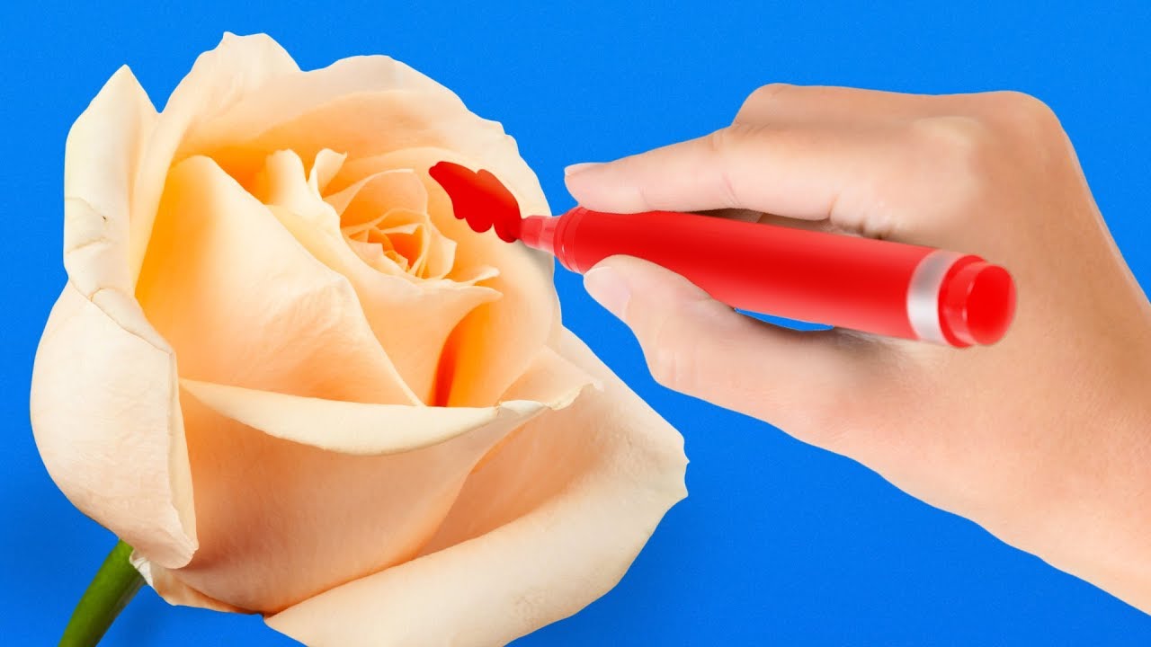 Astonishing Decorations That Will Make Everybody Around You Jelaous