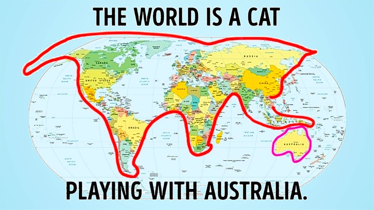 Amazing Information That You Never Knew Before
