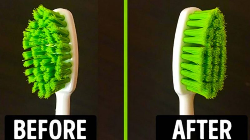 Pay Day Survivals with Easy Tricks