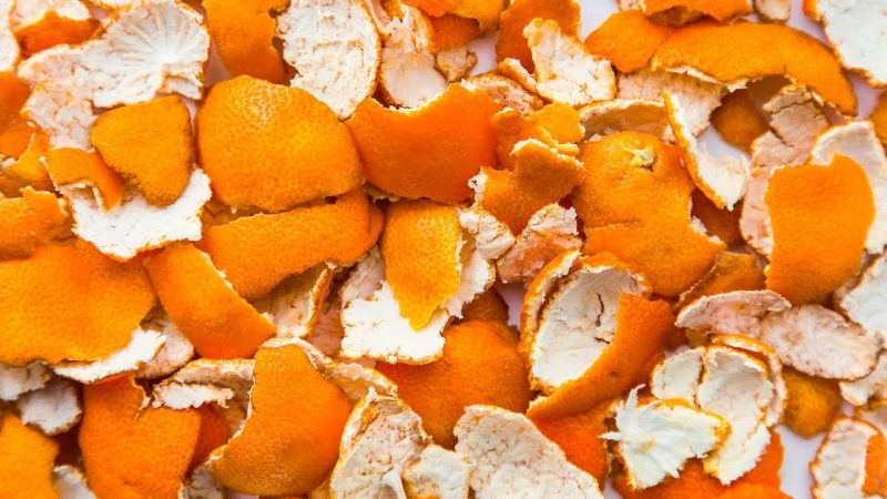You Will not Throw Away the Orange Peel after Learning These Information