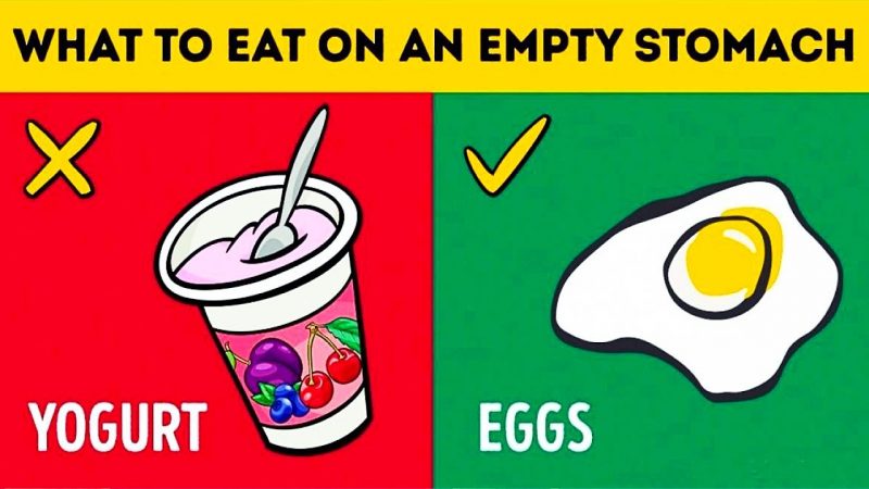 Everything You Need to Know About Food