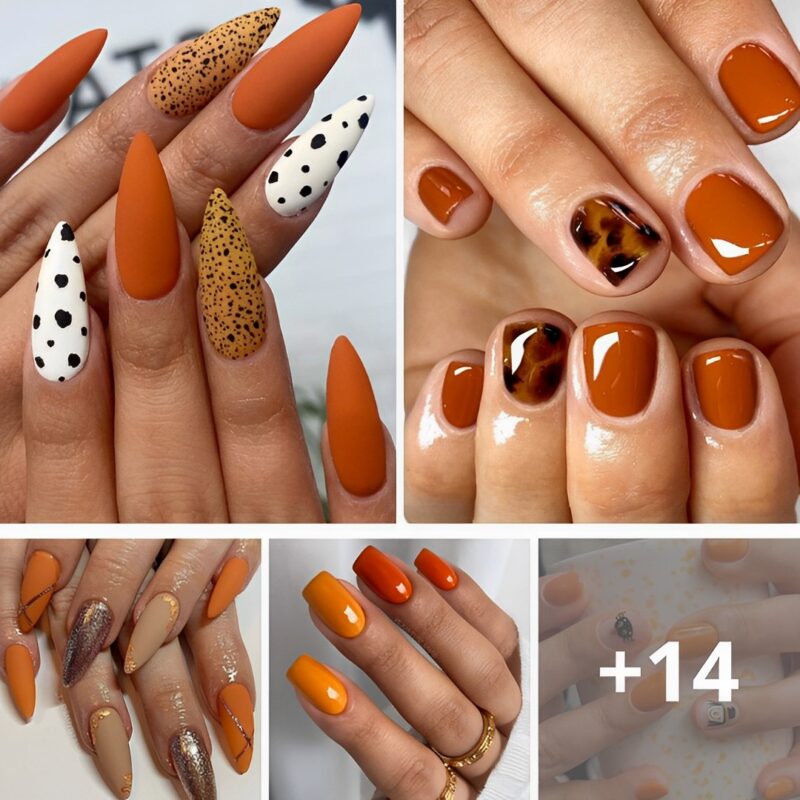 55+ Perfect Burnt Orange Nails That Are Ideal for the Fall Season.